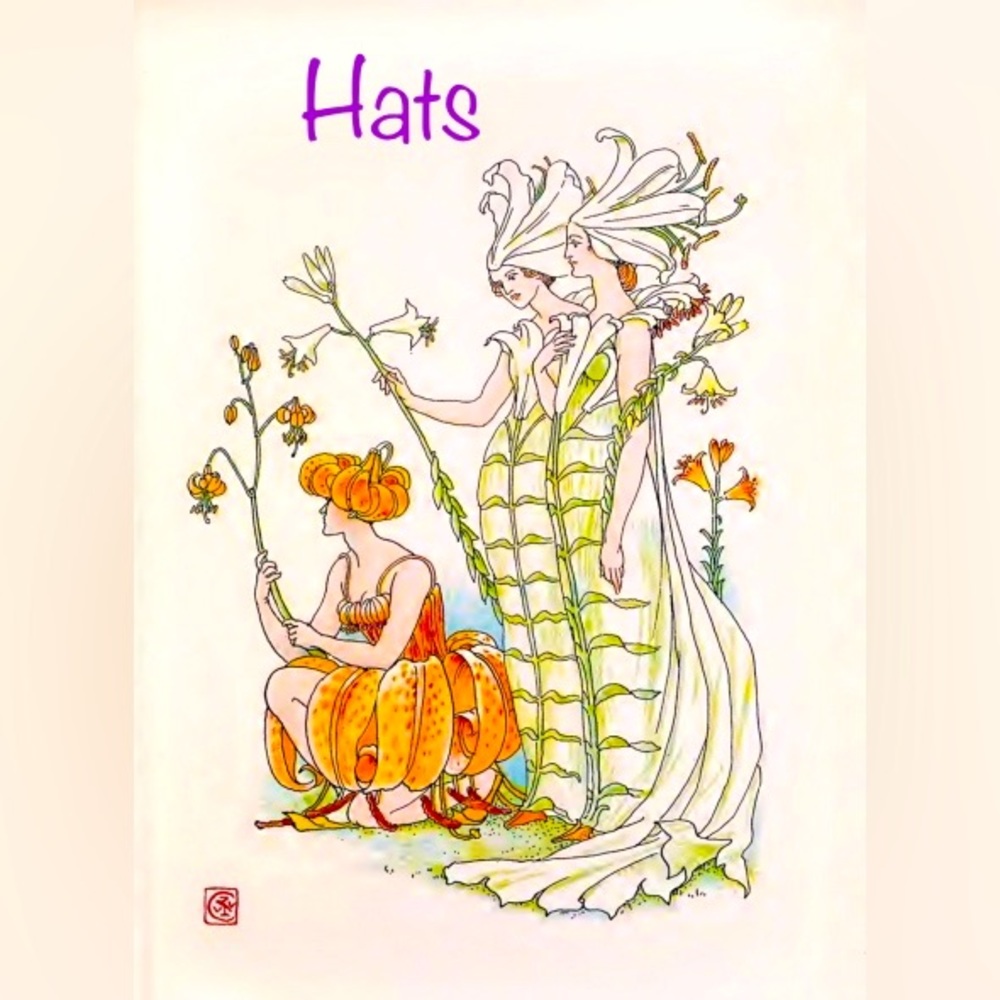 💜Hats💜